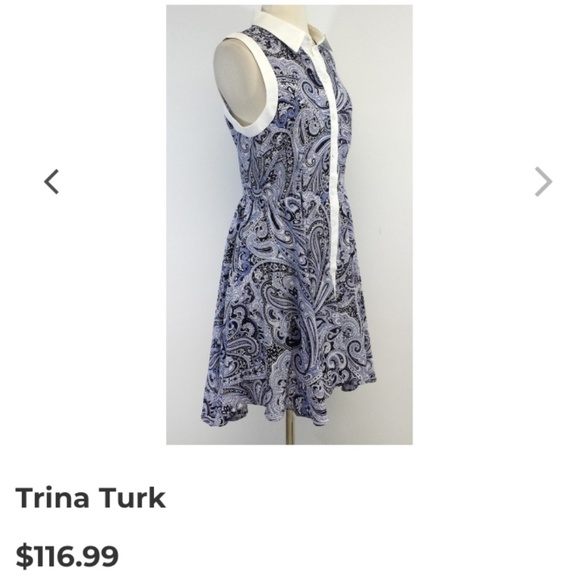 Trina Turk Blue Paisley Silk Dress - Picture 3 of 8
